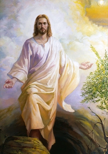 Dynamic Image