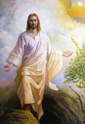 Dynamic Image