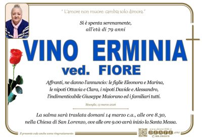 260000037_010-VINO ERMINIA