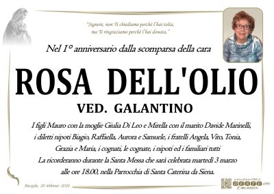 Dell'Olio Rosa - Mad Nuova