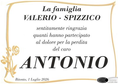 Ringraziamenti