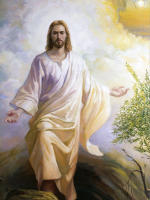 Schermata 2026-01-08 alle 11.46.42