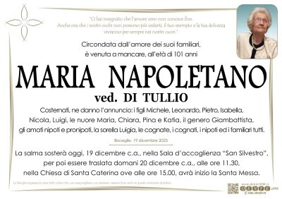 WhatsApp Image 2025-12-19 at 16.20.58