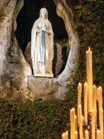 WhatsApp Image 2026-02-10 at 18.58.55