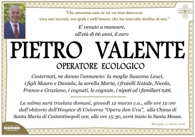 WhatsApp Image 2026-03-11 at 15.13.00