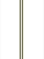 d03b563ae62b4f3b85e17a3ce4c30ea5_Crop.jpg