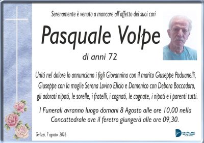 dimensione volpe