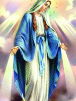 immacolata concezione 3