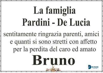 ring pardini