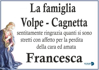 volpe cagnetta